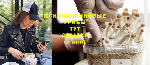 тгк Алзамай