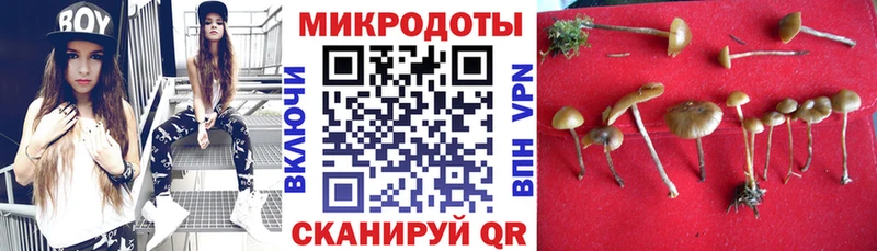 Галлюциногенные грибы MAGIC MUSHROOMS  Далматово 